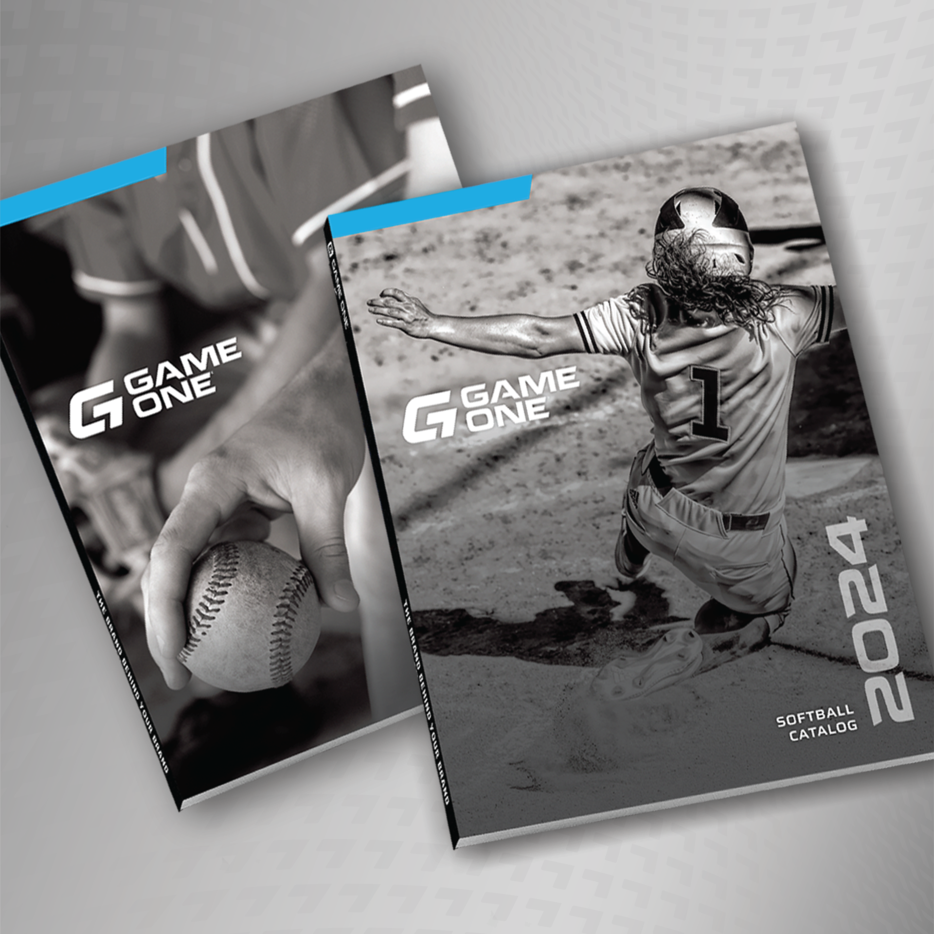 Baseball Softball Catalogs